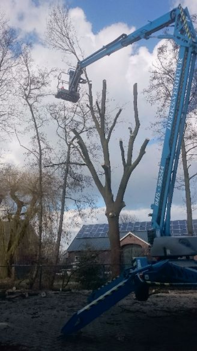 Hoveniersbedrijf "TUINHELDEN" uit Helden aan het werk met mijn hoogwerker van 17 mtr.
