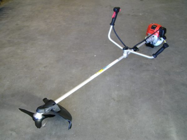 BOSMAAIER