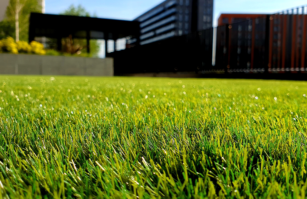 Grasveld